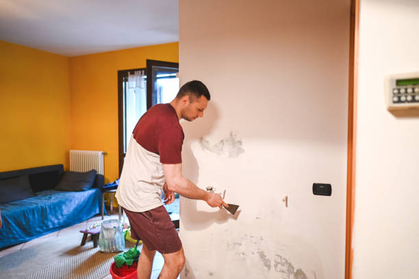 Best Emergency Mold Remediation in Whiteman Af, MO